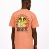 Obey T-Shirts | Obey The Future Is The Fruits Of Ours Citrus